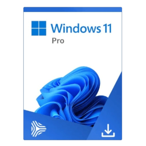 Microsoft Windows 11 Professional